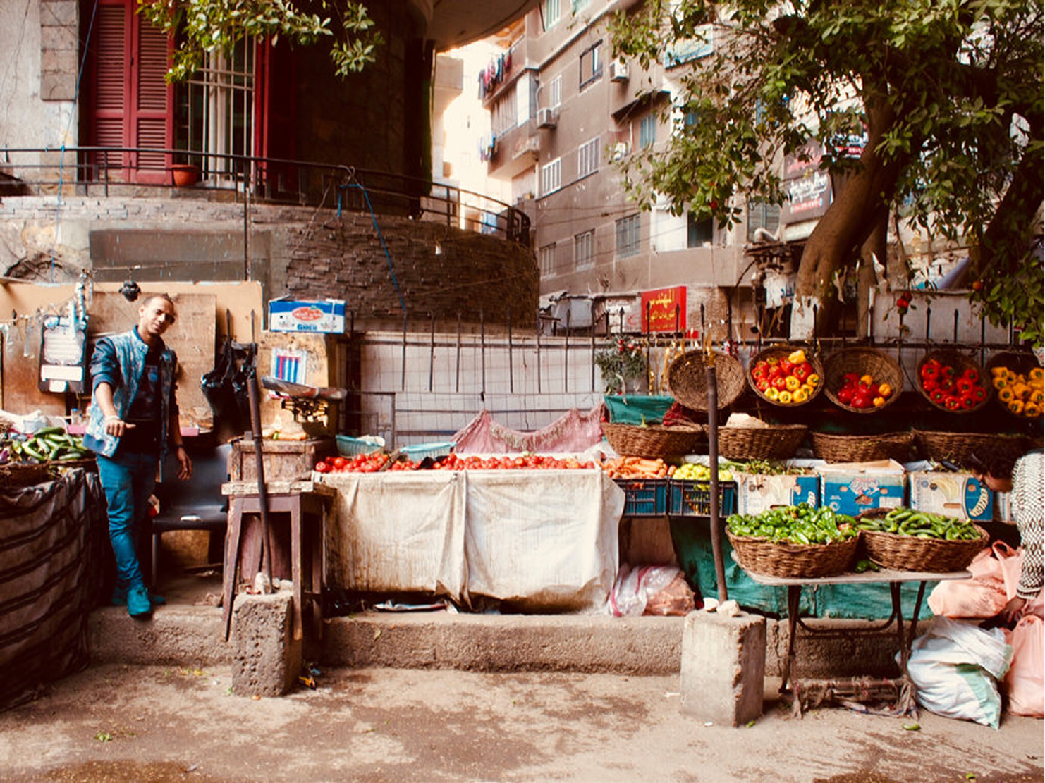 vegetable stall in cairo street